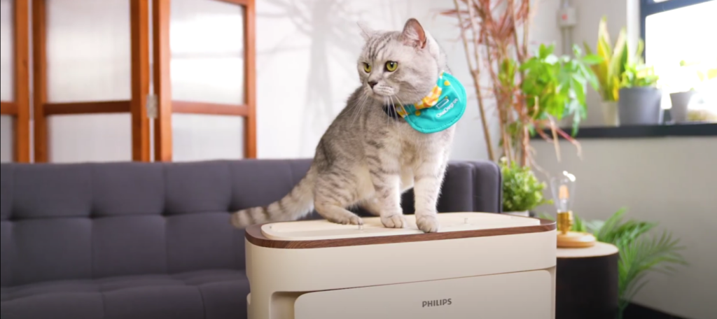 pet-air-purifier